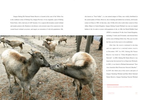 保護(hù)生物多樣性丨醫(yī)藥領(lǐng)域的技術(shù)開(kāi)發(fā) 中觀自然啟示與雙語(yǔ)深讀