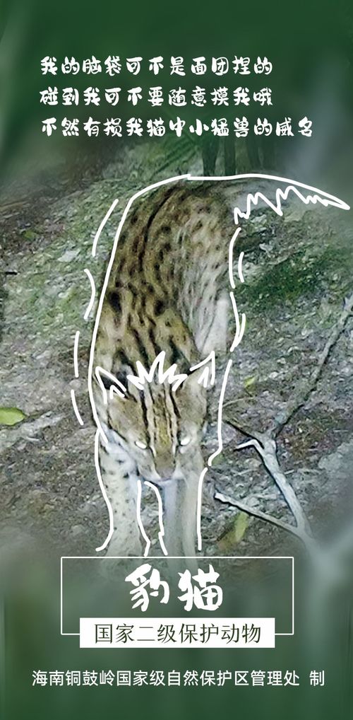 國(guó)際生物多樣性日聚焦銅鼓嶺 國(guó)家二級(jí)保護(hù)動(dòng)植物的醫(yī)藥技術(shù)開(kāi)發(fā)潛力