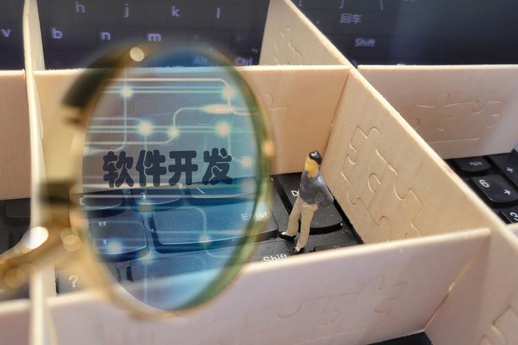 合同未明確軟件開發工具提供方，損失責任如何認定？